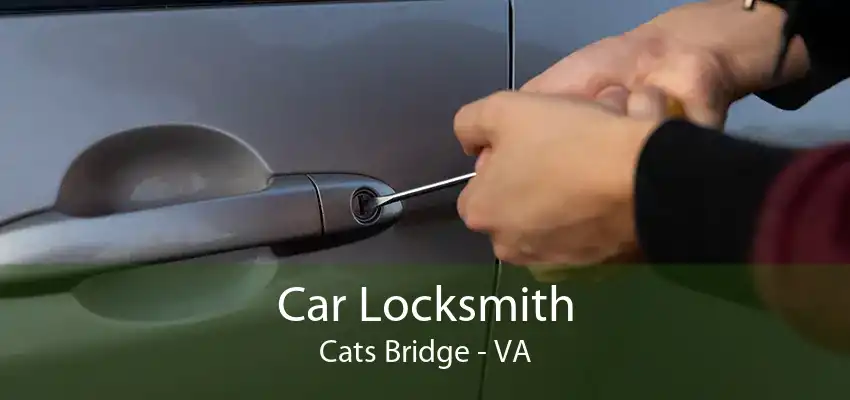 Car Locksmith Cats Bridge - VA