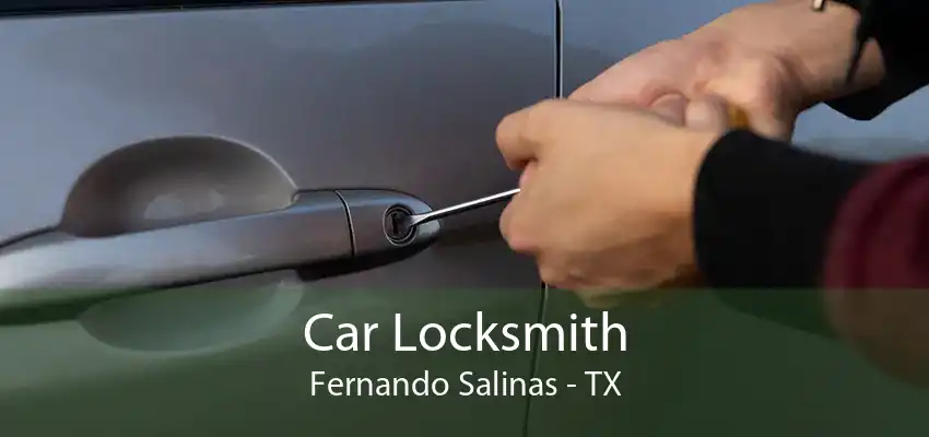 Car Locksmith Fernando Salinas - TX