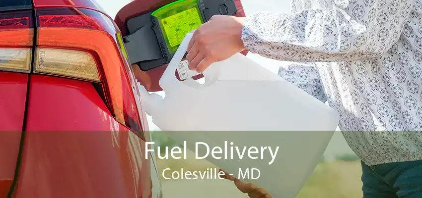 Fuel Delivery Colesville - MD
