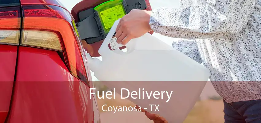 Fuel Delivery Coyanosa - TX
