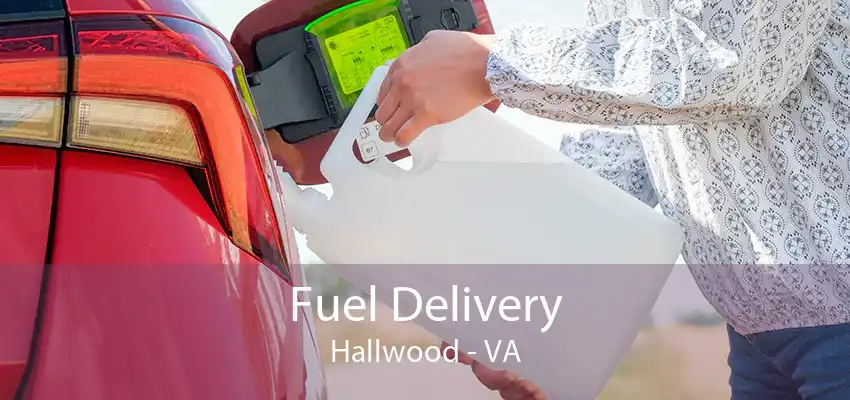 Fuel Delivery Hallwood - VA