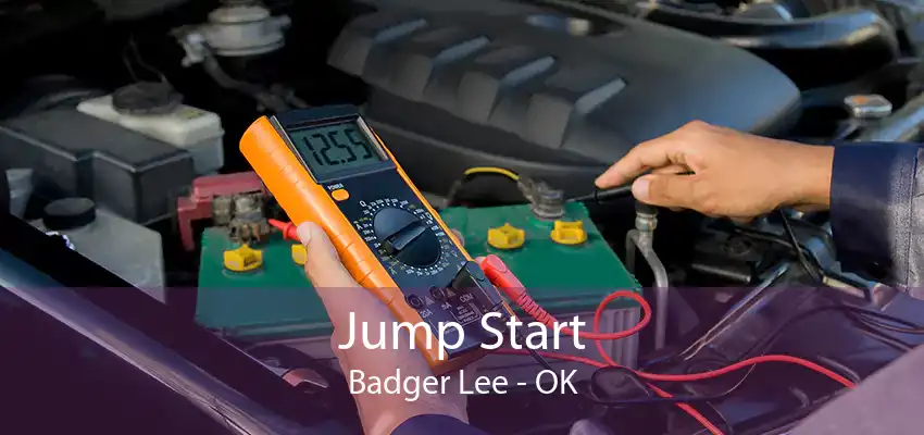 Jump Start Badger Lee - OK