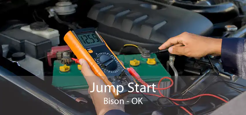 Jump Start Bison - OK