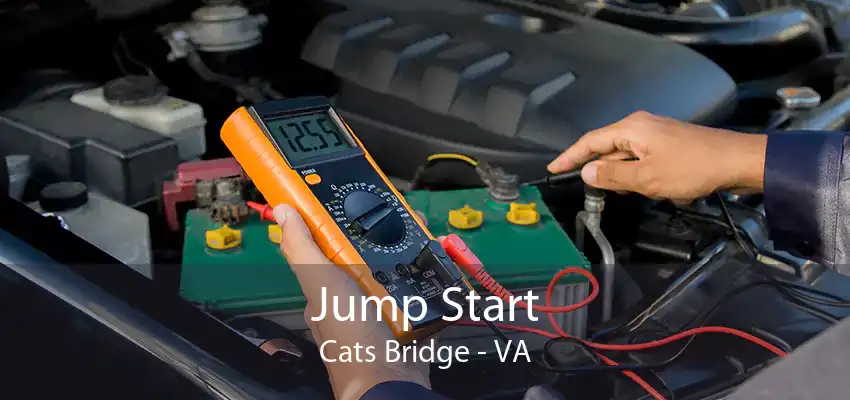 Jump Start Cats Bridge - VA