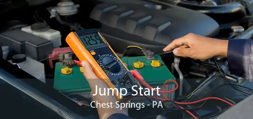 Jump Start Chest Springs - PA