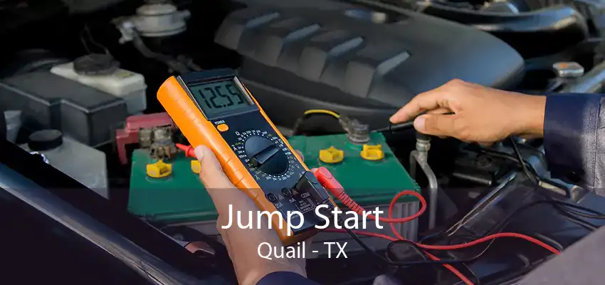 Jump Start Quail - TX
