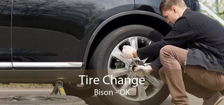 Tire Change Bison - OK