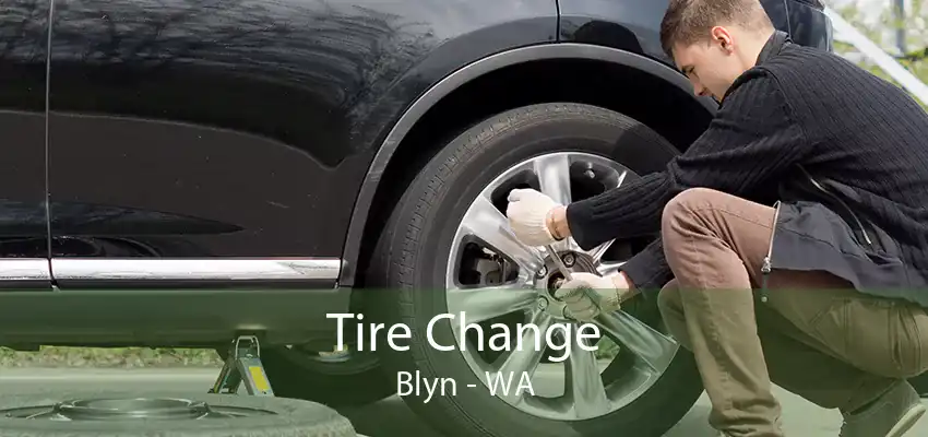 Tire Change Blyn - WA