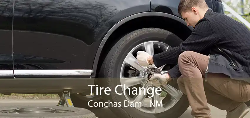 Tire Change Conchas Dam - NM