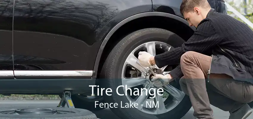 Tire Change Fence Lake - NM