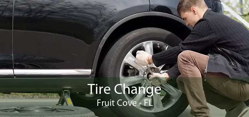 Tire Change Fruit Cove - FL