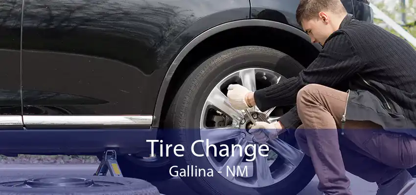 Tire Change Gallina - NM
