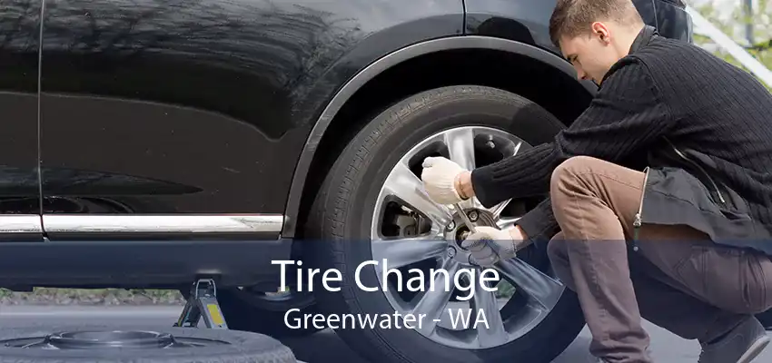 Tire Change Greenwater - WA
