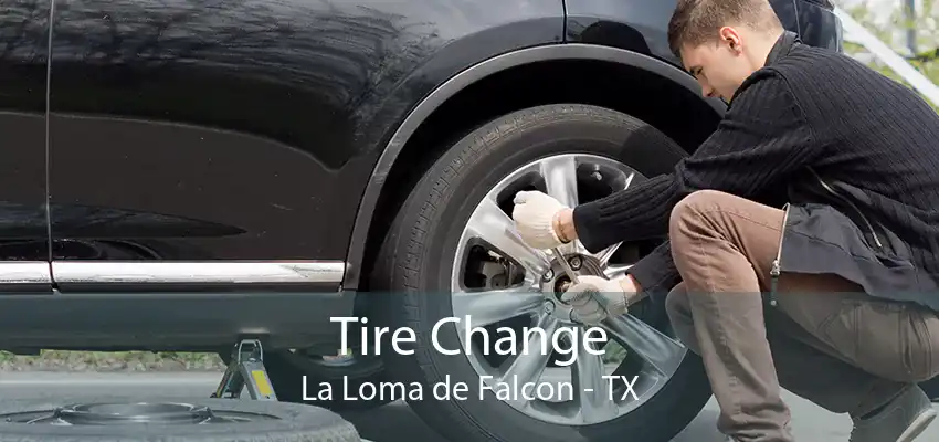 Tire Change La Loma de Falcon - TX