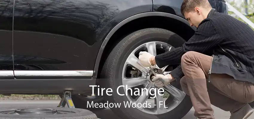 Tire Change Meadow Woods - FL