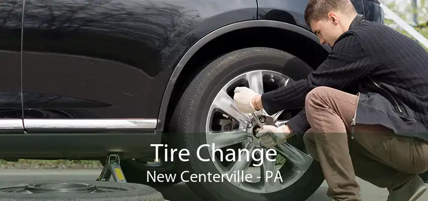 Tire Change New Centerville - PA