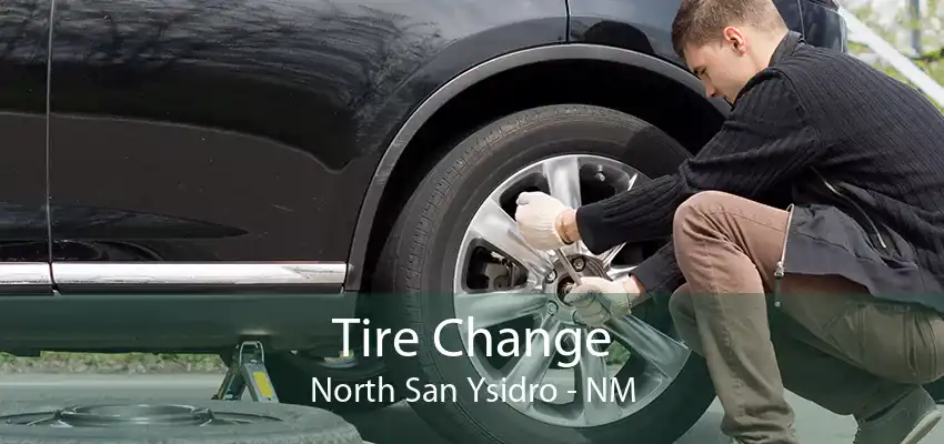 Tire Change North San Ysidro - NM