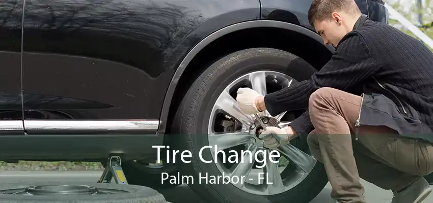 Tire Change Palm Harbor - FL
