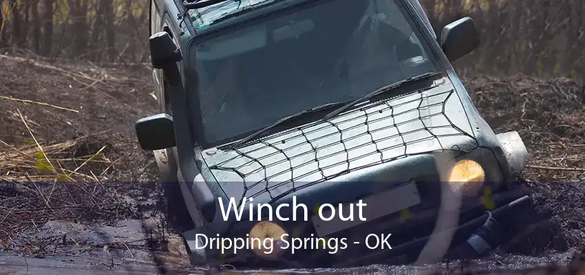Winch out Dripping Springs - OK