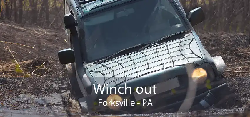 Winch out Forksville - PA