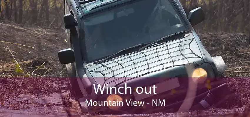 Winch out Mountain View - NM
