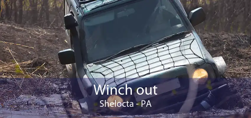 Winch out Shelocta - PA