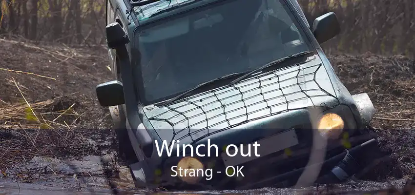 Winch out Strang - OK