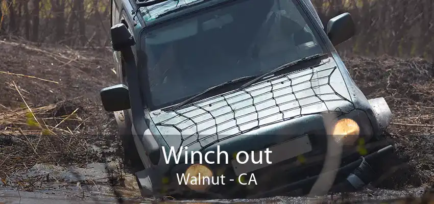 Winch out Walnut - CA